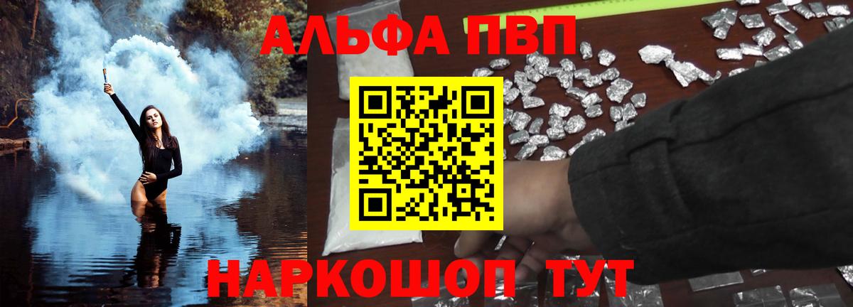 Альфа ПВП СК КРИС Кингисепп