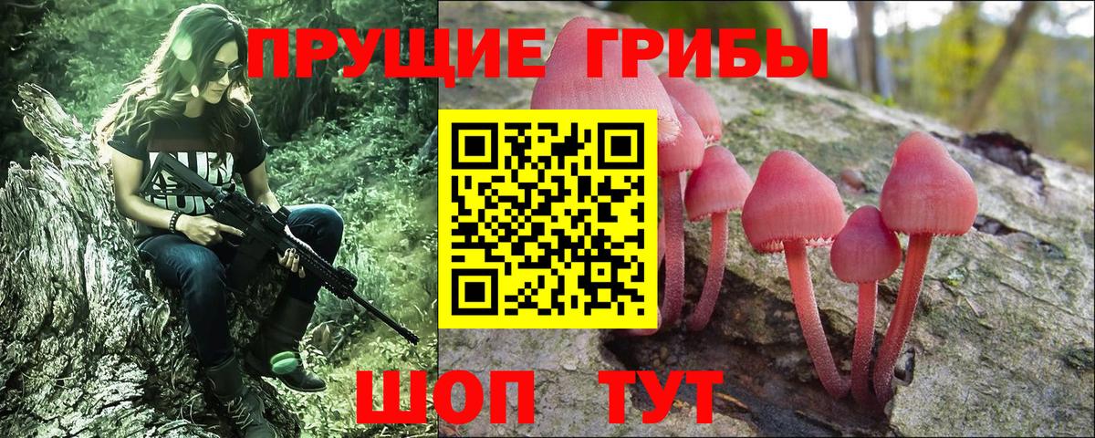 Псилоцибиновые грибы Magic Shrooms Кингисепп