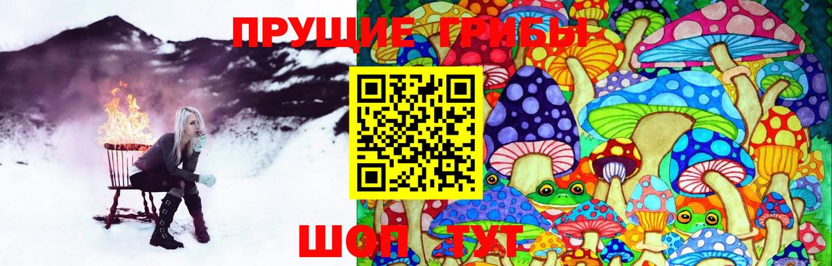 Галлюциногенные грибы ЛСД  Псилоцибиновые грибы Cubensis  Вход с VPN  Кингисепп 